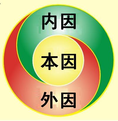 本内外三因.JPG