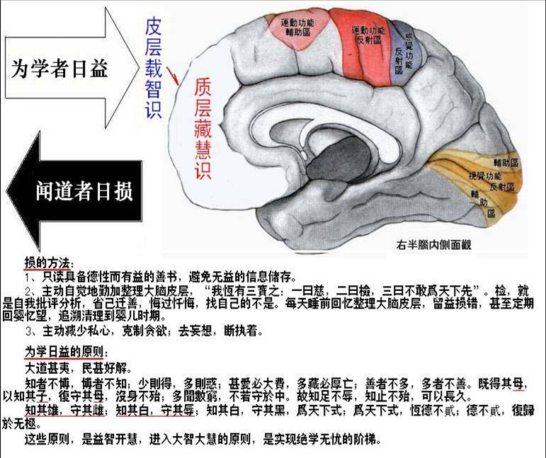 大脑日益日损.jpg